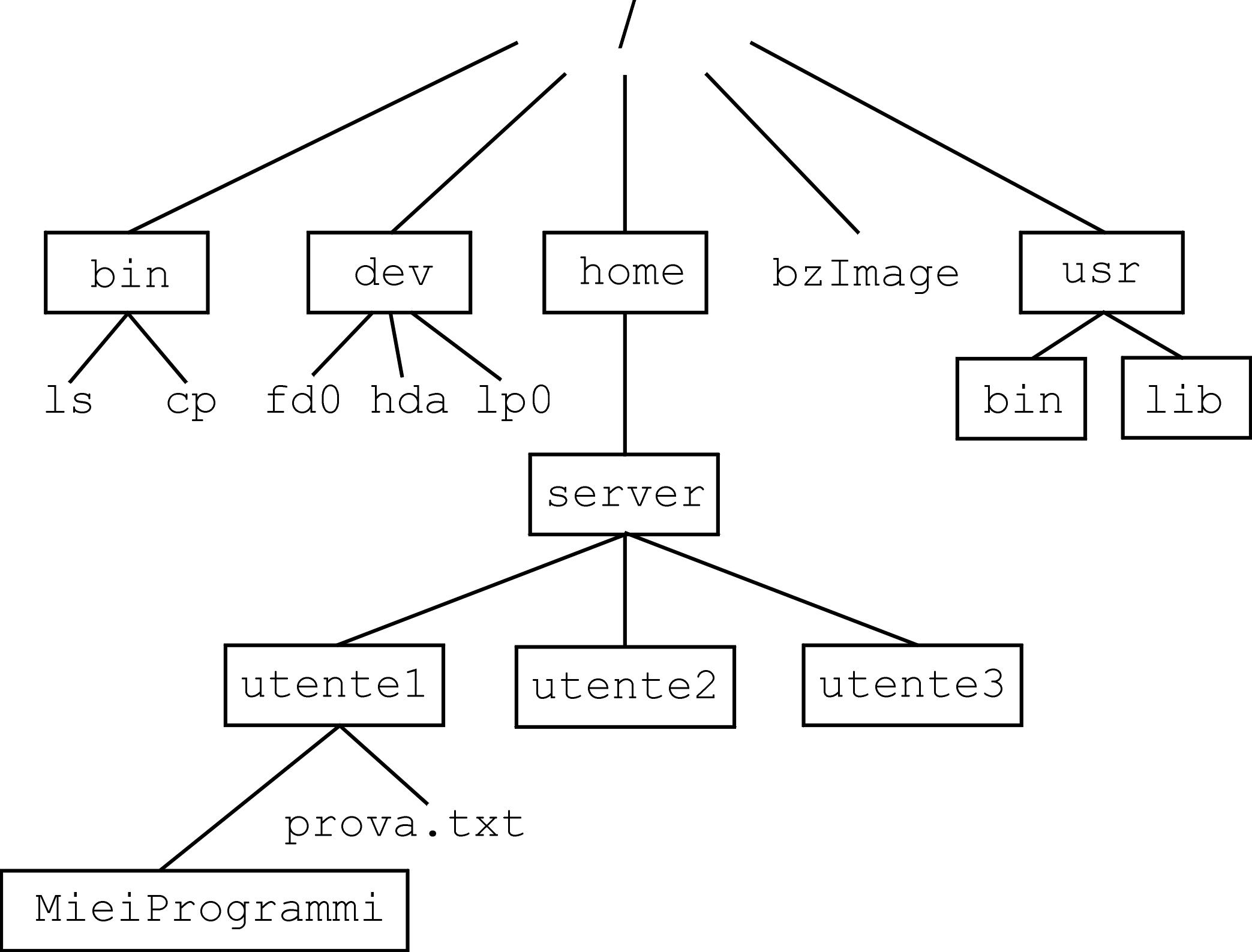 Struttura del File System